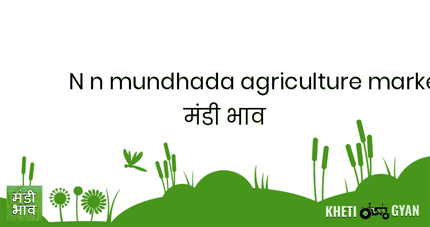 N N Mundhada Agriculture Market Produce  मंडी भाव की ताज़ा तस्वीर